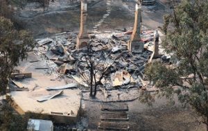 bush fire damage