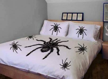 Spider quilt