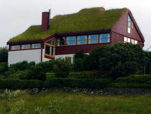 Pros And Cons Of Green Roofing A New House