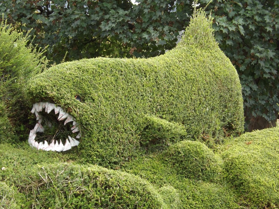 Don’t Cut The Hedge!