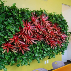 What are Green Walls? and Why are they so  Spectacular?