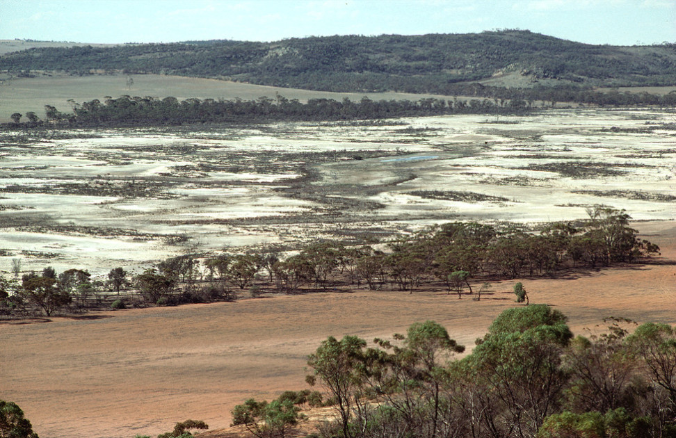 Saline Ground Conditions