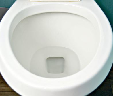 Conventional or Rimless Toilet