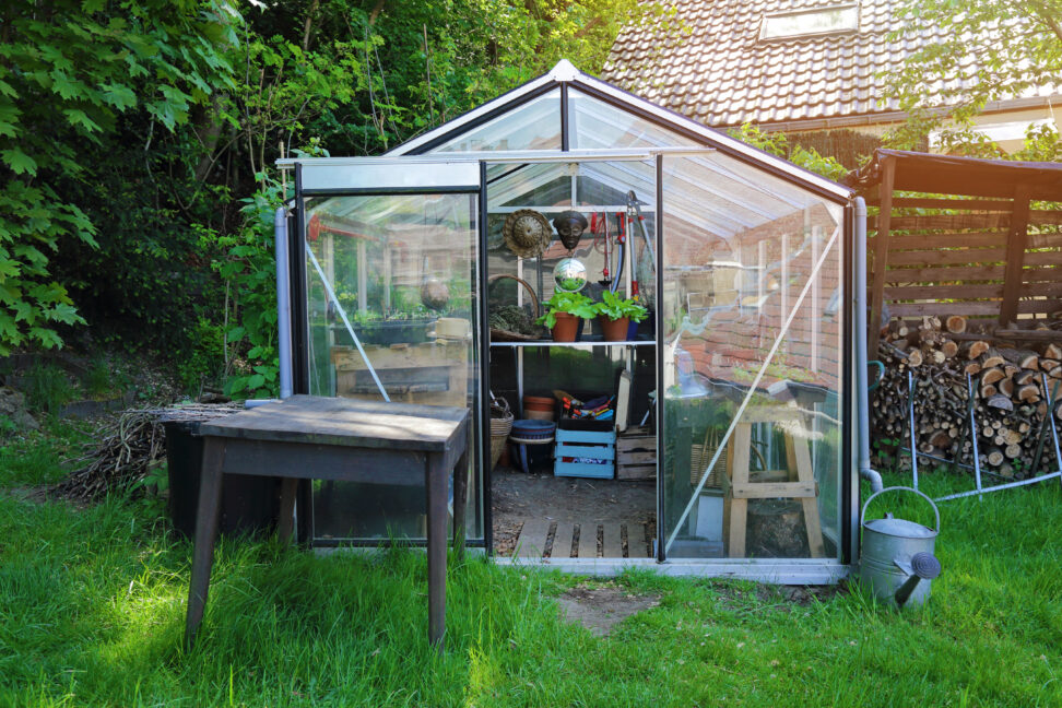5 Pros And Cons Of Greenhouse Kits 
